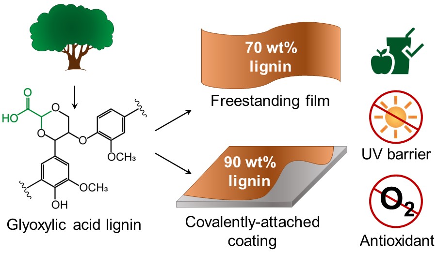Our newest paper in <a href="/ACSSustainable/">ACS Sustainable Journals</a> is a collaborative effort with <a href="/Bloom_Biorenew/">Bloom Biorenewables Ltd</a> and describes a method for the preparation of very high lignin content films with properties that are attractive for food packaging applications. pubs.acs.org/doi/10.1021/ac…