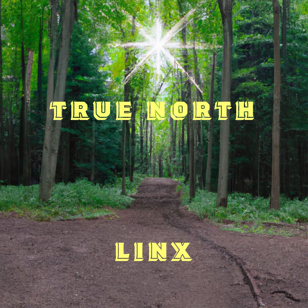 My newest single, True North, is out now.  This one managed to emerge from a very difficult summer.  There was something about it that kept moving me to share it with everyone.
#TrueNorth  #newmusic #dj #techhouse #musicproducer #dancemusic #EDM #electrohouse #NewMusicFriday
