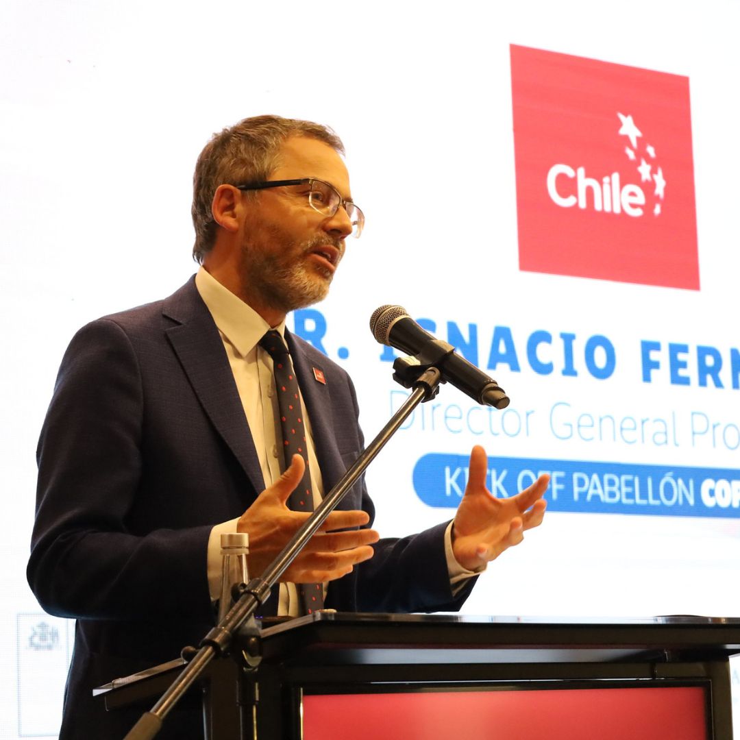 ProChile UAE tweet media