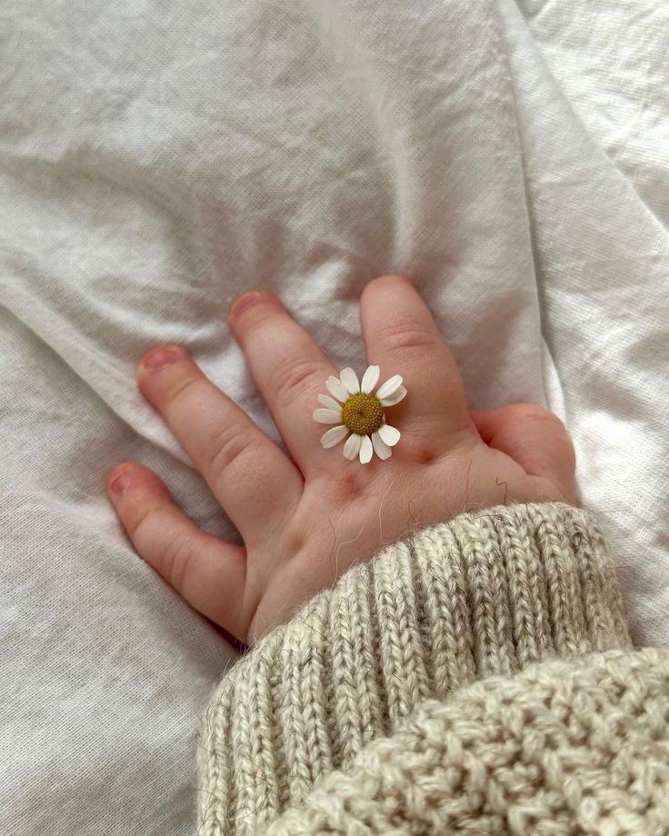 dollzura's tweet photo. #taekookau 

Dónde una dulce pareja intenta unir a sus dos amigos o donde Jungk00k y Tæhyung a penas pueden estar en una misma habitación en sana convivencia. https://t.co/3a4db5LlvL