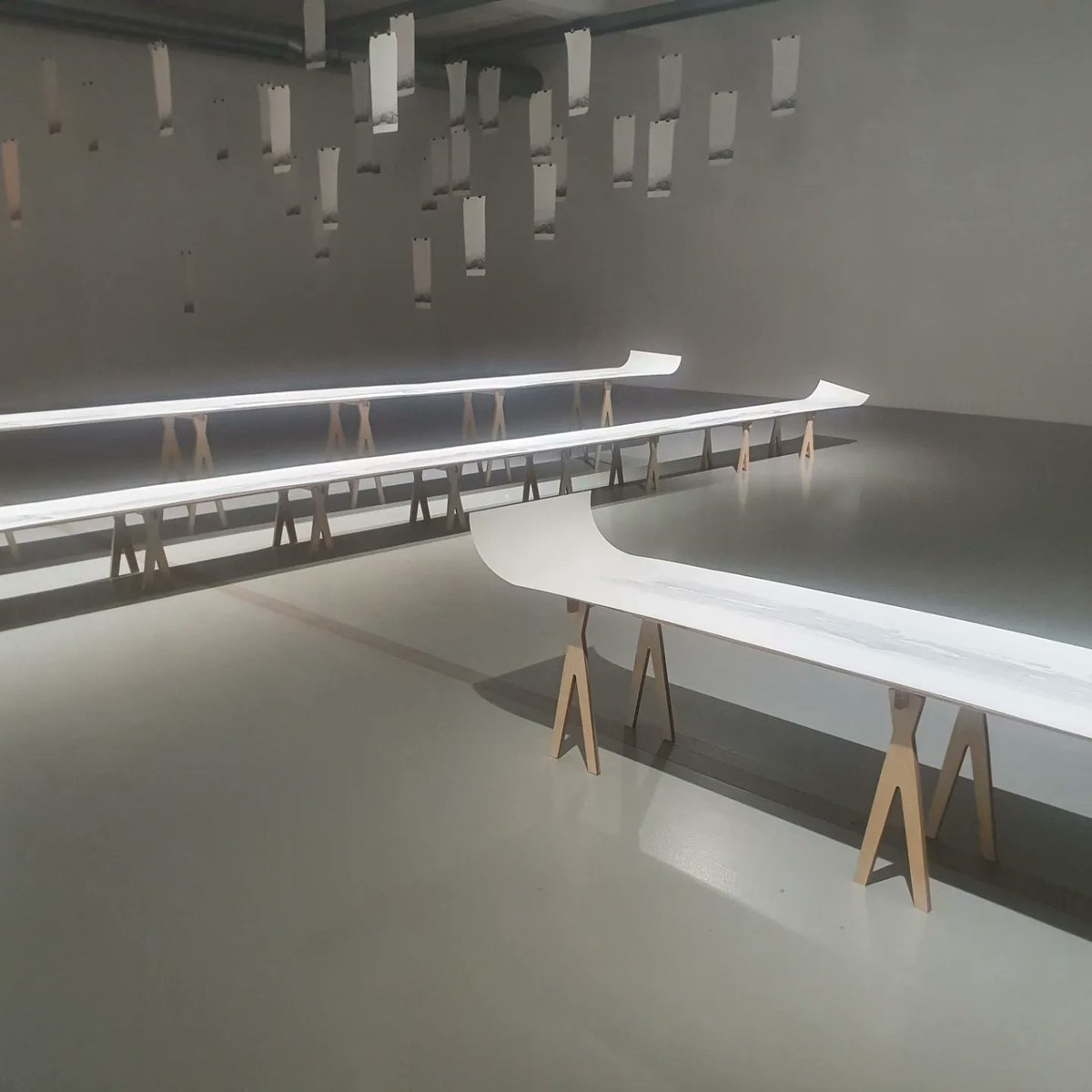 Alannah Robins tweet media