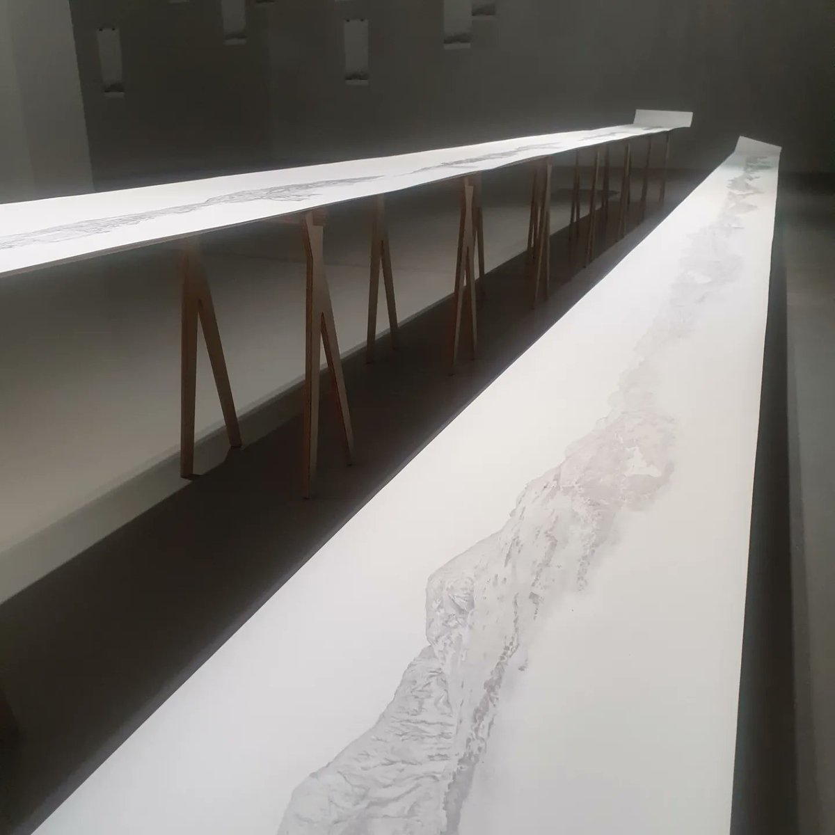 Alannah Robins tweet media