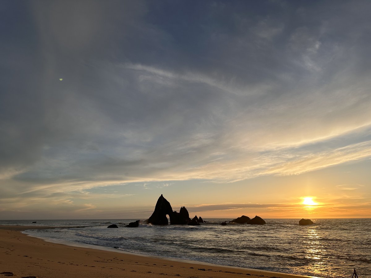 Cody Mayer tweet media