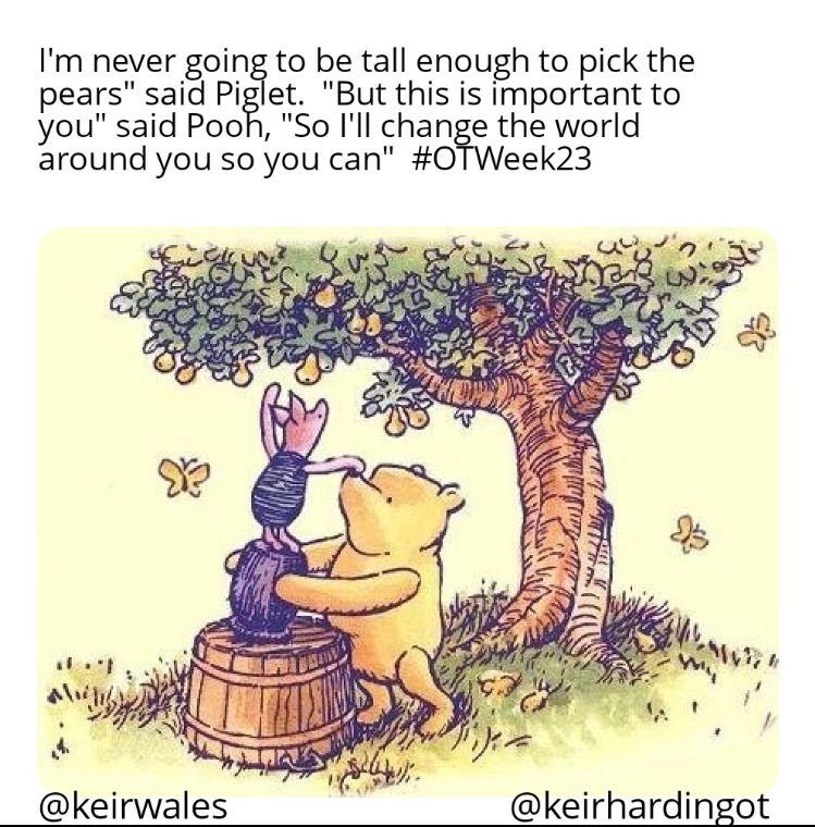 Occupational Therapy Service: Wye Valley NHS Trust tweet media