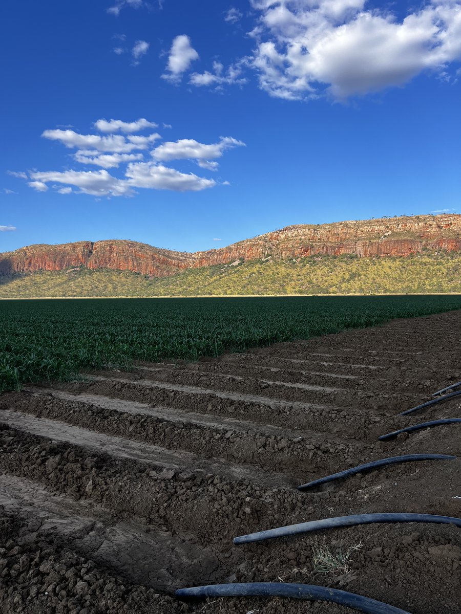 NATIONAL AGRICULTURE DAY 🌾

Today we are celebrating the industry we love!

From the Agronomists to the Truck Drivers, these hard workers are essential to all our lives. We wish you all a very happy National Agriculture and Related Industries Day.

#AgDayAU #Agriculture #ORDCO