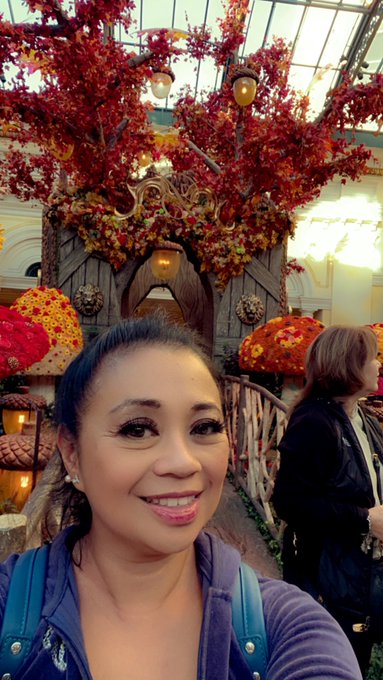 It&rsquo;s amazing how many times I&rsquo;ve been to Vegas and can never stop being a tourist. #vegas #vegasmilf<a href="/tag/vegas"class="tags"><span>#vegas</span></a><a href="/tag/vegasmilf"class="tags"><span>#vegasmilf</span></a><a href="/tag/filipinainvegas"class="tags"><span>#filipinainvegas</span></a>