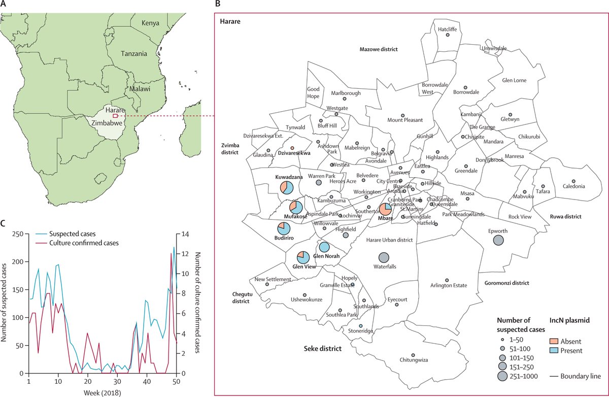 Tapfumanei Mashe (@tapfumamashe) on Twitter photo Hot off the <a href="/LancetMicrobe/">The Lancet Microbe</a> Press. A must-read for all <a href="/PreventTyphoid/">Take on Typhoid</a> <a href="/ITMantwerp/">Institute of Tropical Medicine Antwerp</a> <a href="/GordonDougan1/">Professor Gordon Dougan FRS</a> @DrKatHolt @KatharinaKranz4 <a href="/DuncanSteele8/">Duncan Steele</a> <a href="/TheQuadram/">Quadram Institute</a> <a href="/UPTuks/">University of Pretoria</a> <a href="/MoHCCZim/">Ministry of HealthZW</a> <a href="/PATHtweets/">PATH</a> <a href="/gavi/">Gavi, the Vaccine Alliance</a> <a href="/sofoniaskt/">Sofonias K Tessema</a> @AfricaPGI <a href="/WHO/">World Health Organization (WHO)</a> <a href="/WHO_Zimbabwe/">WHO Zimbabwe</a> <a href="/WHOAFRO/">WHO African Region</a> <a href="/sabinvaccine/">Sabin Vaccine Institute</a> sciencedirect.com/science/articl… Hot off the <a href="/LancetMicrobe/">The Lancet Microbe</a> Press. A must-read for all <a href="/PreventTyphoid/">Take on Typhoid</a> <a href="/ITMantwerp/">Institute of Tropical Medicine Antwerp</a> <a href="/GordonDougan1/">Professor Gordon Dougan FRS</a> @DrKatHolt @KatharinaKranz4 <a href="/DuncanSteele8/">Duncan Steele</a> <a href="/TheQuadram/">Quadram Institute</a> <a href="/UPTuks/">University of Pretoria</a> <a href="/MoHCCZim/">Ministry of HealthZW</a> <a href="/PATHtweets/">PATH</a> <a href="/gavi/">Gavi, the Vaccine Alliance</a> <a href="/sofoniaskt/">Sofonias K Tessema</a> @AfricaPGI <a href="/WHO/">World Health Organization (WHO)</a> <a href="/WHO_Zimbabwe/">WHO Zimbabwe</a> <a href="/WHOAFRO/">WHO African Region</a> <a href="/sabinvaccine/">Sabin Vaccine Institute</a> sciencedirect.com/science/articl…