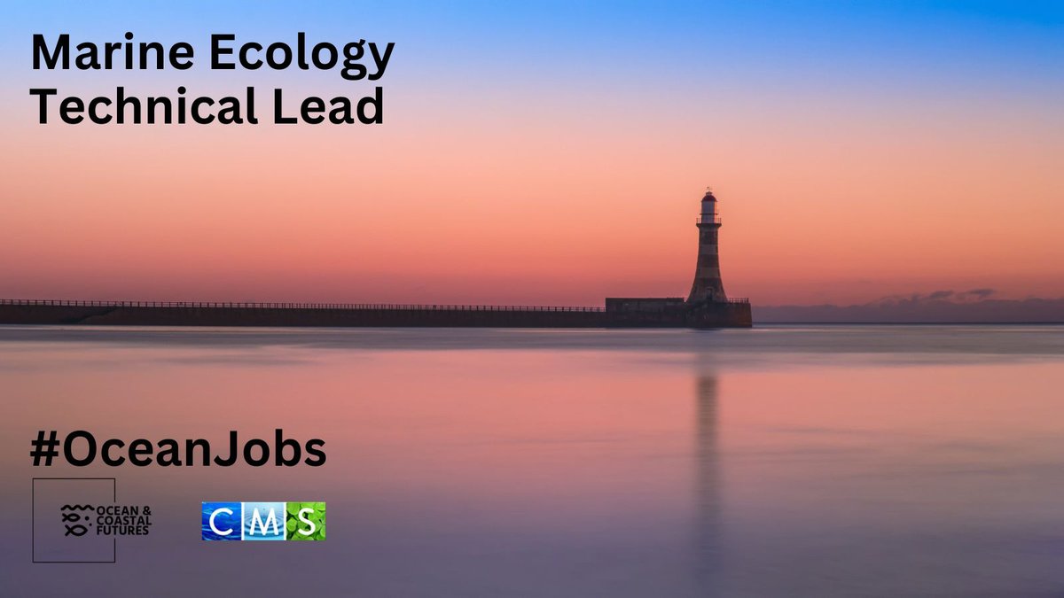 New job opportunity: Marine Ecology Technical Lead - @GWKNEC ▪️Salary: £34k ▪️Location: Sunderland/Home ▪️Closes: 24 Nov ▪️Full details here 👉cmscoms.com/?p=36683 Sign up for CMS/OCF #OceanJobs alerts here 👉bit.ly/3MiyV7i @Wild_Oysters @ZSLMarine @StrongerShores