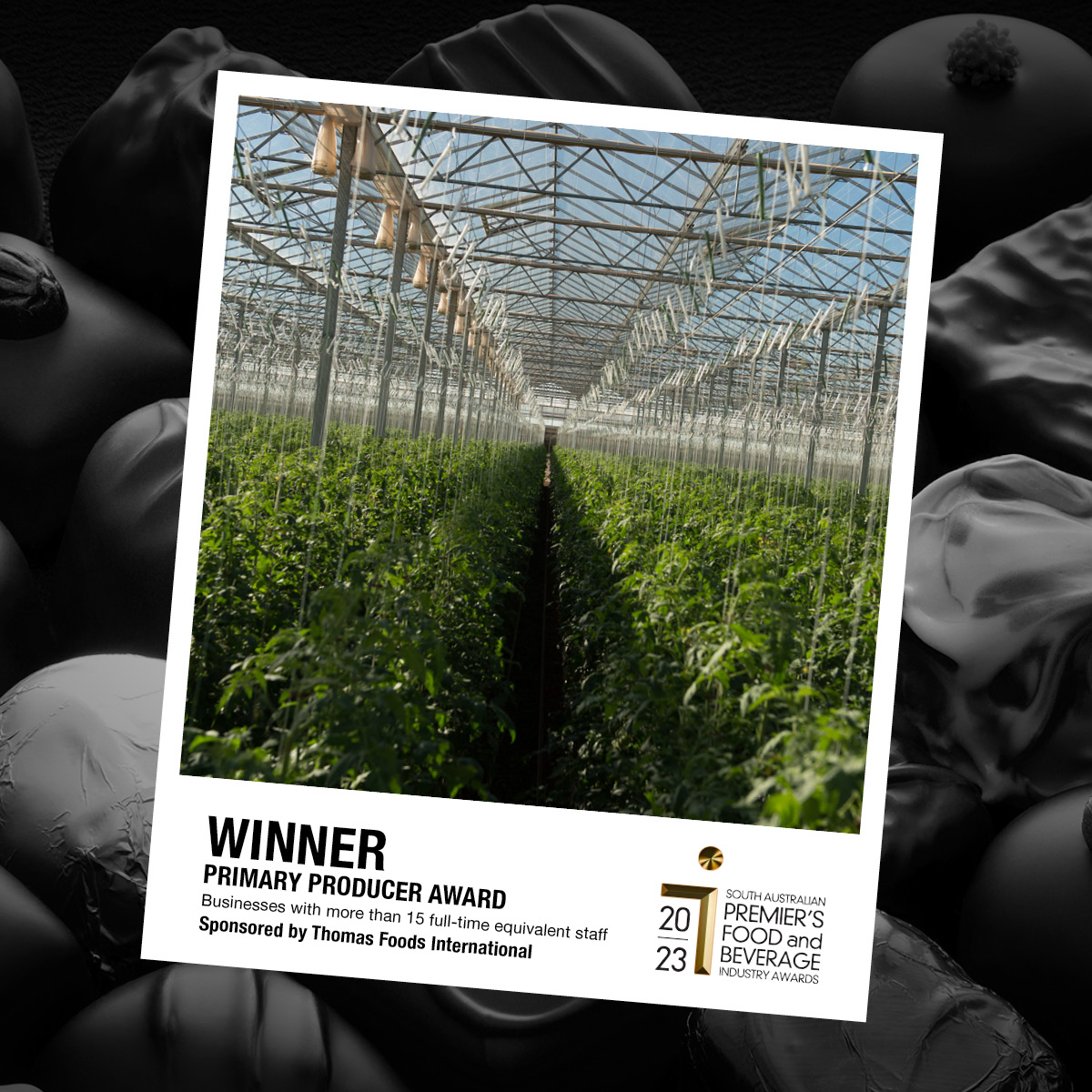 SA Premier's Food and Beverage Awards tweet media