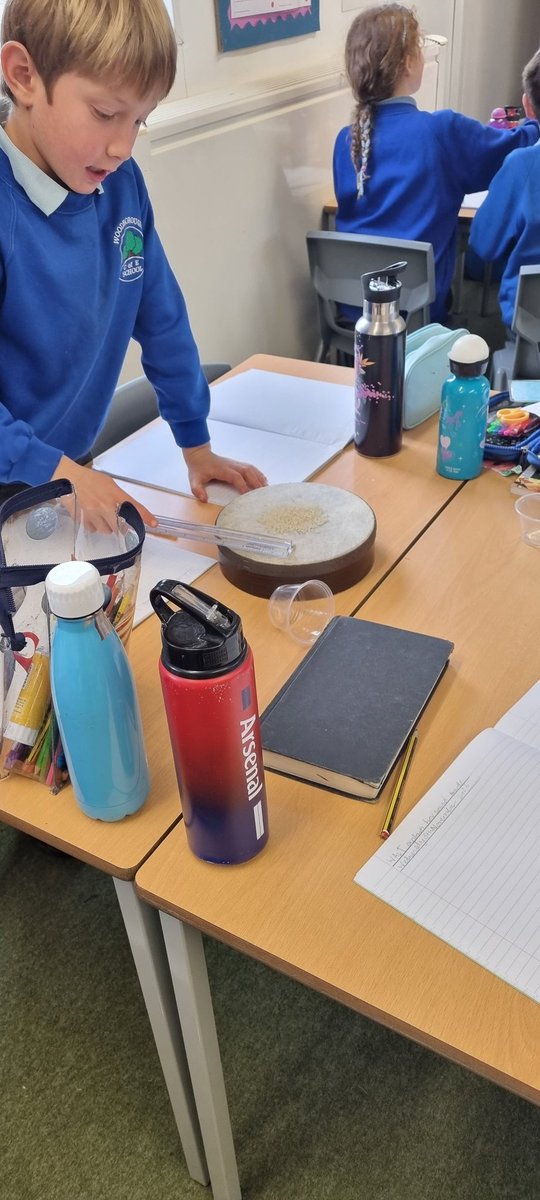 Elm Class enjoyed using their observational skills to explore the link between volume and the size of vibrations 🦻🥁🔊