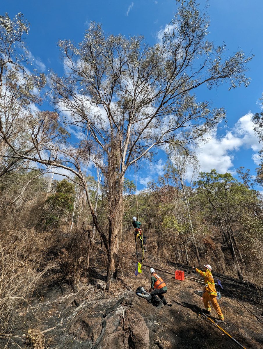 ifaw Australia tweet media