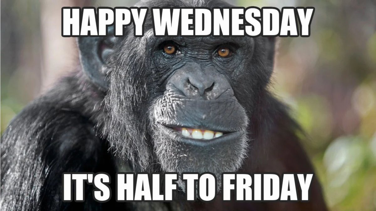 RhinoX_SBT's tweet image. When you wake up thinking it's finally Friday, but then reality hits... It's only Wednesday! 😱

#HumpDay #MidweekBlues #NFTLife #RhinoX