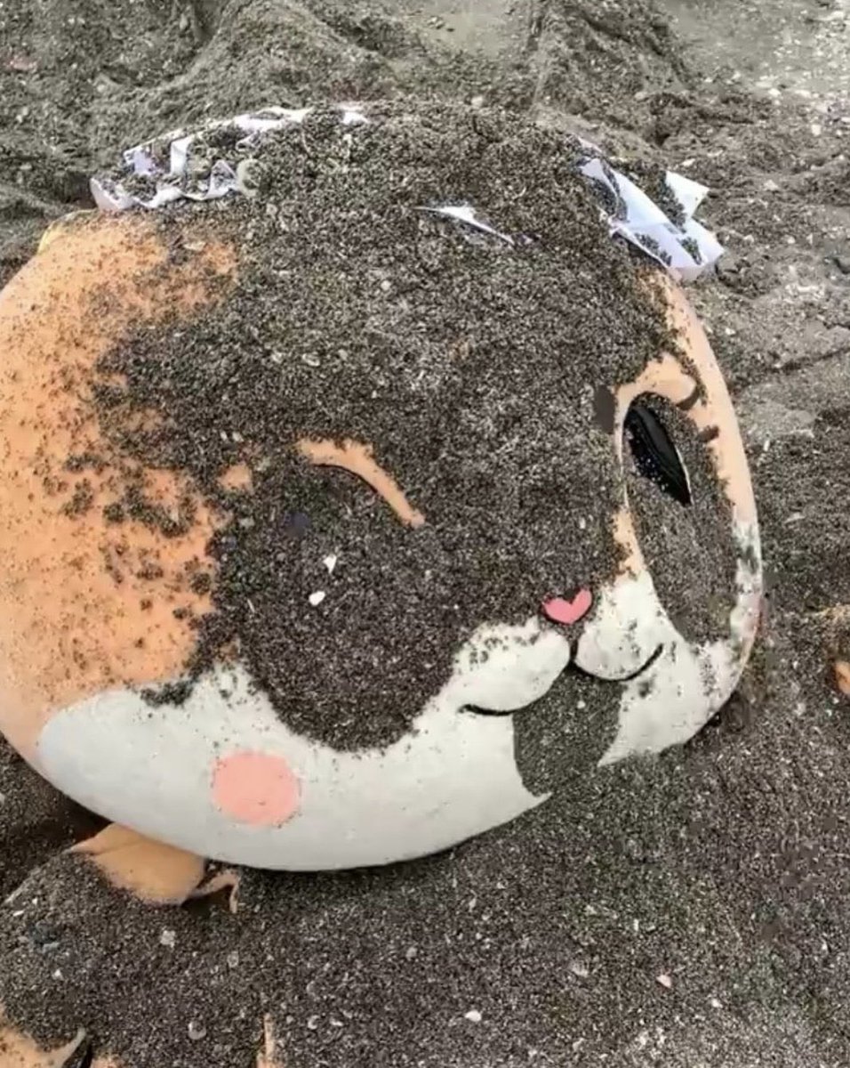 ちぃたん☆／Chiitan on X