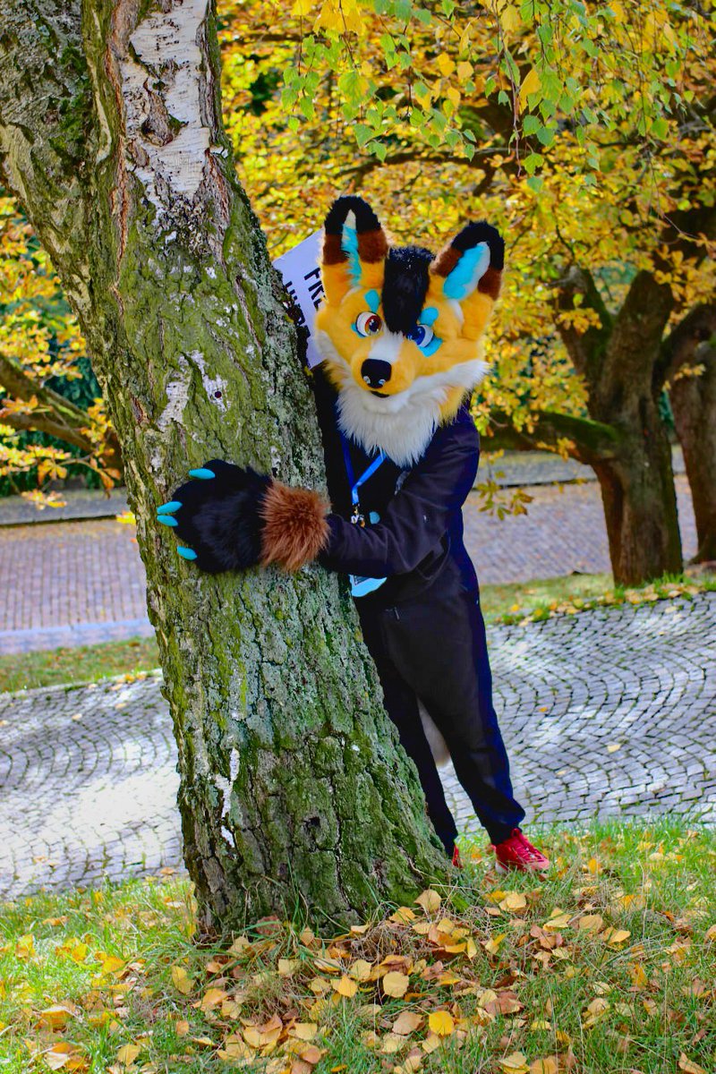 Peekaboo! 👻
Happy #fursuitfriday 
📷 | <a href="/sandaime/">三代目悪人🍺</a>.yokay (ig)