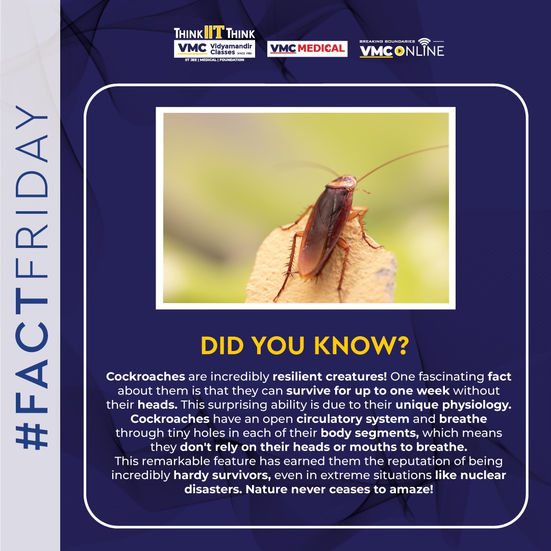 Cockroaches are true survivors! They can live for a week without their heads. Their open circulatory system and unique physiology make it possible. 
.
#VMC #FactFriday #DidYouKnow #Cockroaches #NatureSurvivors #ResilientSpecies #UniquePhysiology #IncredibleFacts #NaturalWonders