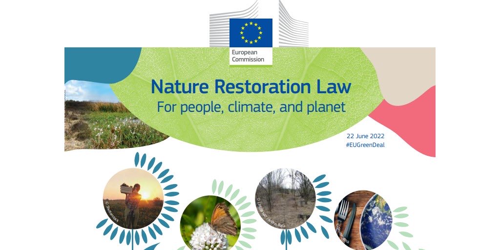 The ambitious Nature Restoration Law has just been finally approved. Amazing achievement!. A huge challenge is ahead: the design of the national restoration plans and the biodiversity monitoring. This needs an extraordinary collaboration of scientist with resource managers.