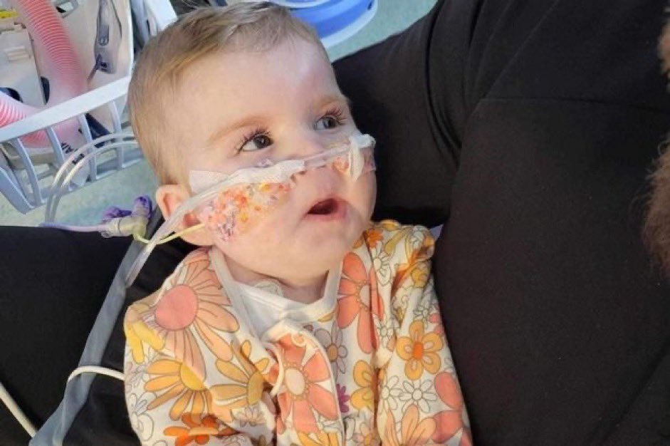 🇬🇧🇮🇹La justicia británica ordena la muerte de la pequeña paciente #IndiGregory a pesar de que el hospital romano Bambino Gesù se ha ofrecido a tratarla en Italia y el Gobierno de Meloni ha concedido la ciudadanía italiana a la pequeña para permitirle transferir.

Los jueces