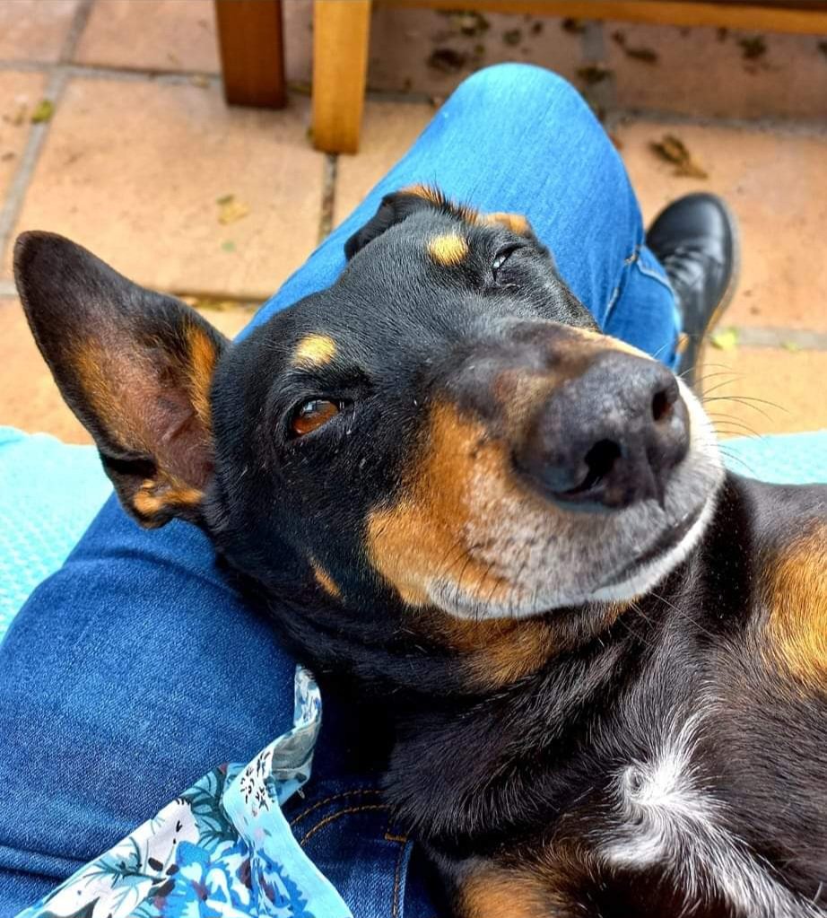 💙Karen't even tweet media