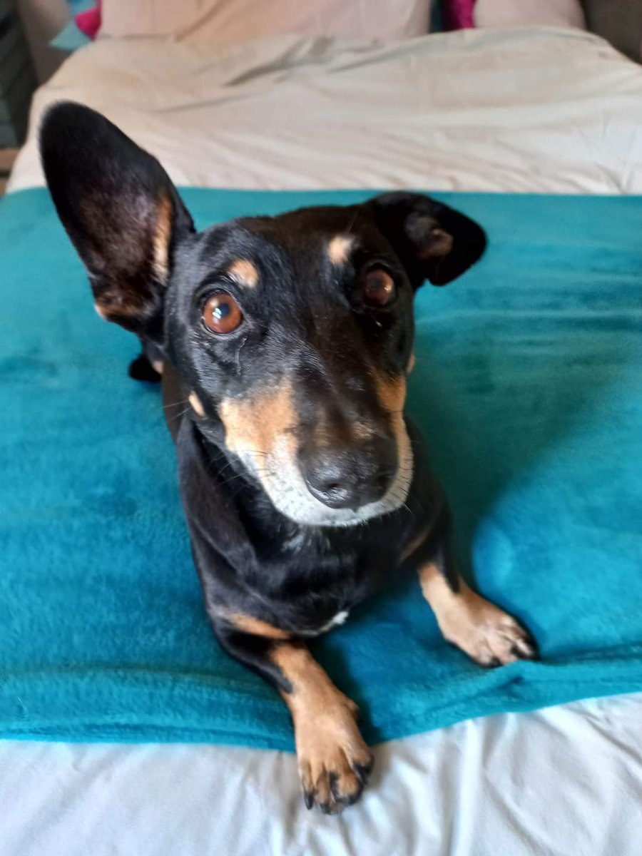 💙Karen't even tweet media