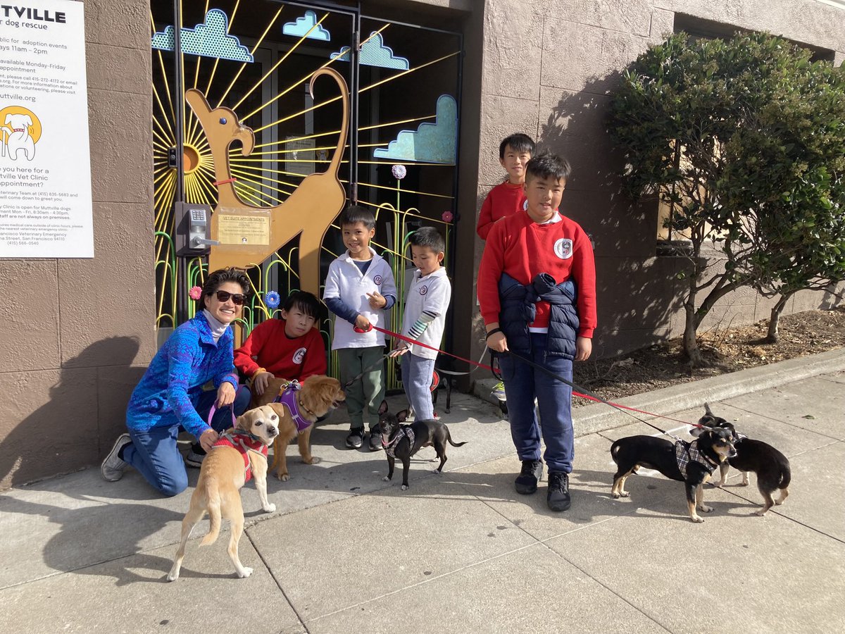 We went on a field trip to Muttville Senior Dog Rescue where our students met and learned about senior dogs, helped change some blankets and walked a few dogs down the block.