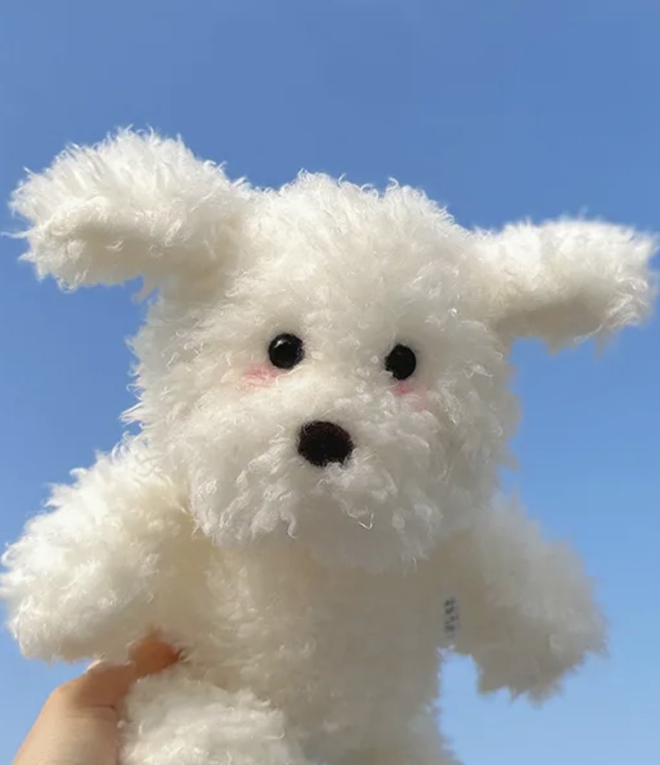 🩶2024오오가미 코가 생일카페 수요조사🩶

2024 07 18일 20일 21일 홍대에서 개최

1차 수요조사를 진행합니다 
forms.gle/JzFc5MkR6yXBQf…
수요조사 기간 
11.10 ~ 11.30

팔로우 + RT 해주신 분들중에 추첨을 통해 아기강아지 인형을 드립니다₍ᐢ..ᐢ₎♡̷
추첨일 11.30