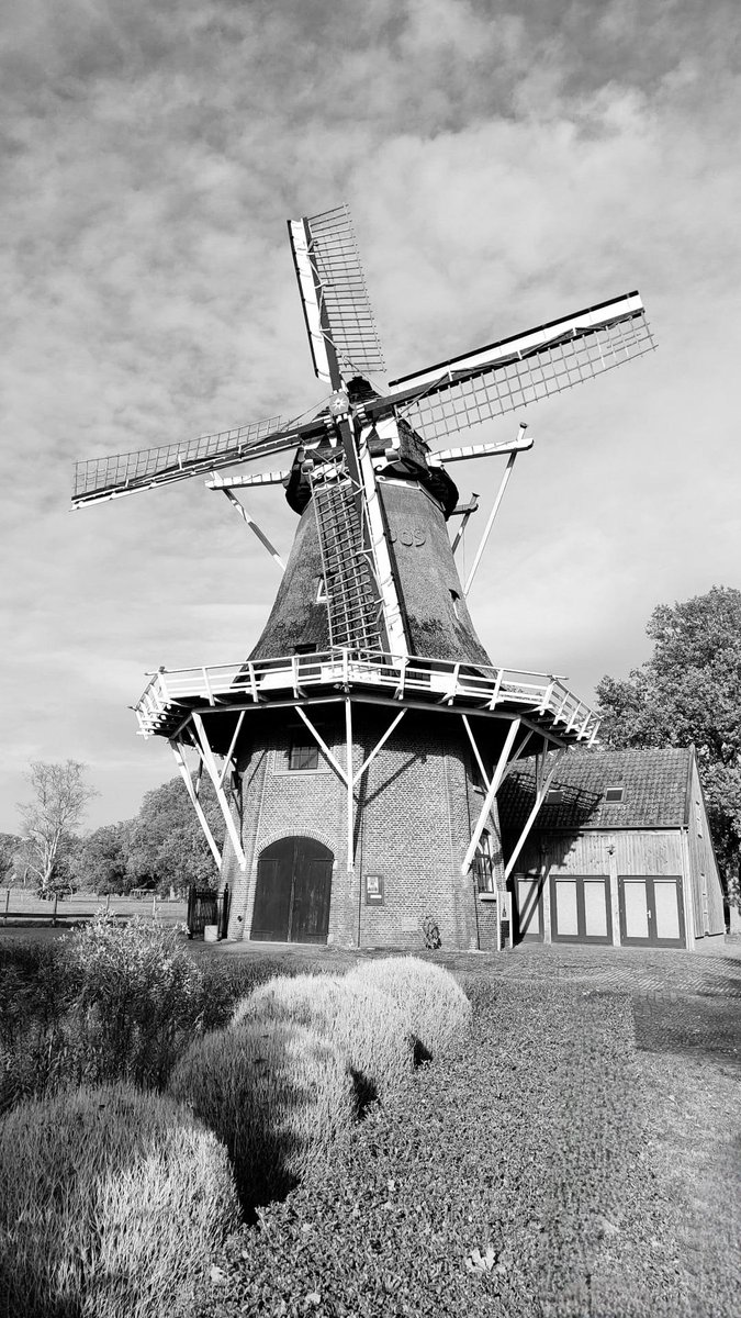 1/2 Onze molen staat in de rouwstand, omdat onze vrijwilliger Dirk Westerveen is overleden.
Dirk betekende veel voor onze molen. Met zijn technisch inzicht en zijn gouden handen heeft hij veel bruikbare oplossingen bedacht en uitgevoerd en menig euvel verholpen. Vooral zijn humor