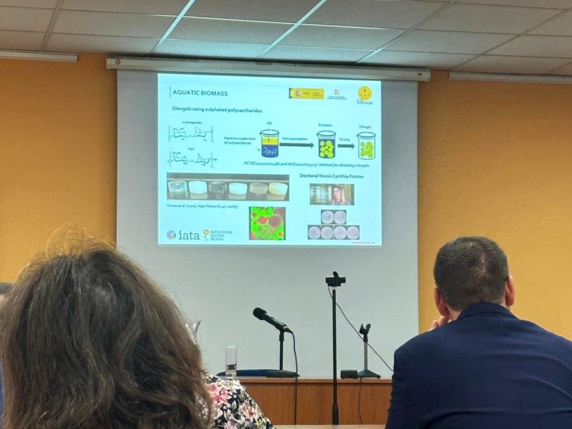 Three #research projects were presented yesterday by <a href="/moveyourbrain/">Amparo López</a> at the 19th International Conference on #Polysaccharides and #Glycoscience in Prague.

<a href="/circalgae_eu/">CIRCALGAE</a> #PANACEA #SLIMFOOD <a href="/agroalnext_GVA/">AGROALNEXT_GVA PPCC Agroalimentación</a> <a href="/AgEInves/">Agencia Estatal de Investigación</a> <a href="/iata_csic/">IATA CSIC</a>