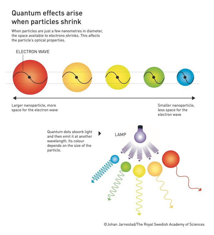 In the early 1980s, this year’s chemistry laureates Louis Brus and Aleksey Yekimov succeeded in creating – independently of each other – quantum dots, which are nanoparticles so tiny that quantum effects determine their characteristics.

Learn more: bit.ly/3rpwdre