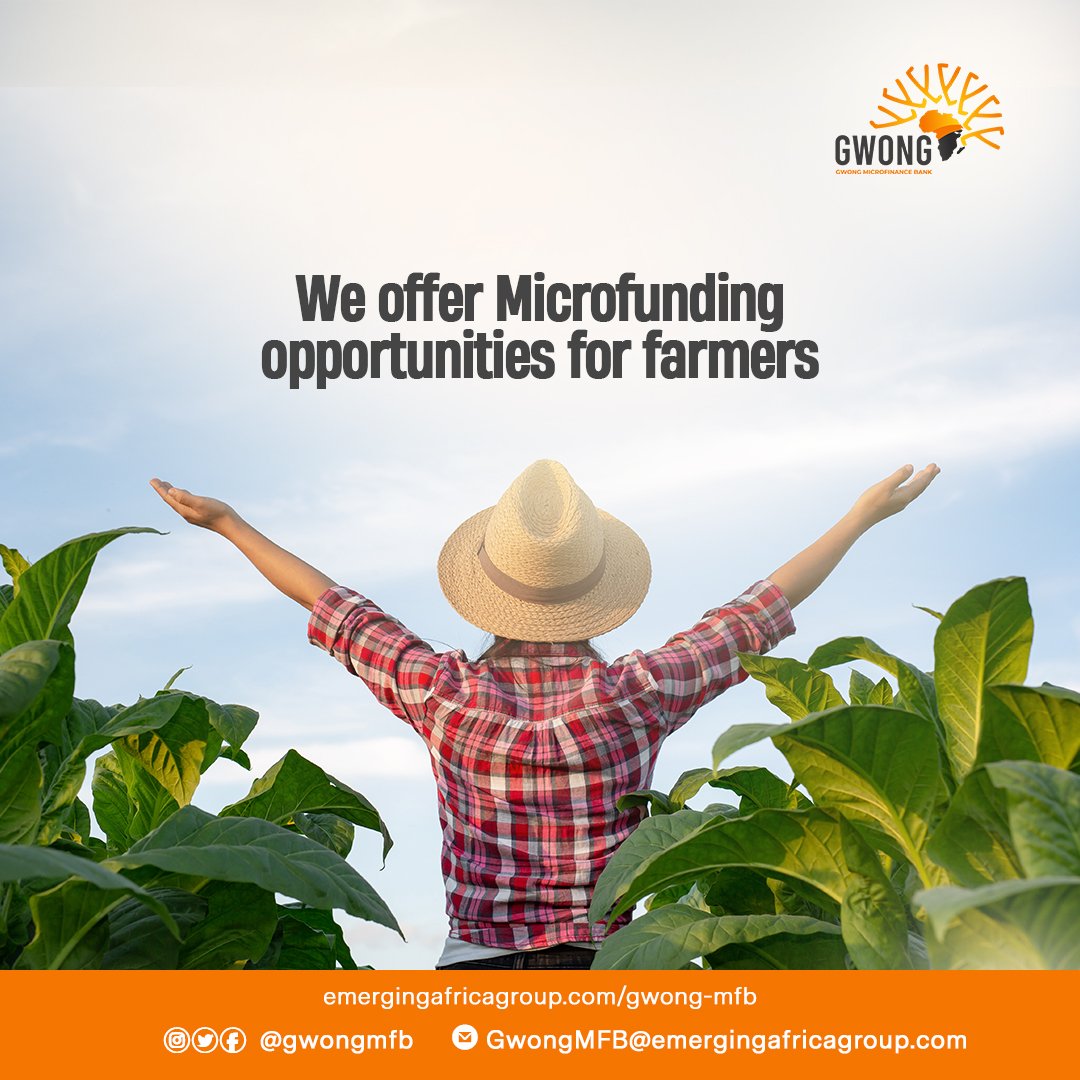 GwongMfb's tweet photo. We have the best microfunding options for the farmers.
Open a Gwong Agro account today
#agrosupport #agroloan https://t.co/9L2EMauCC8