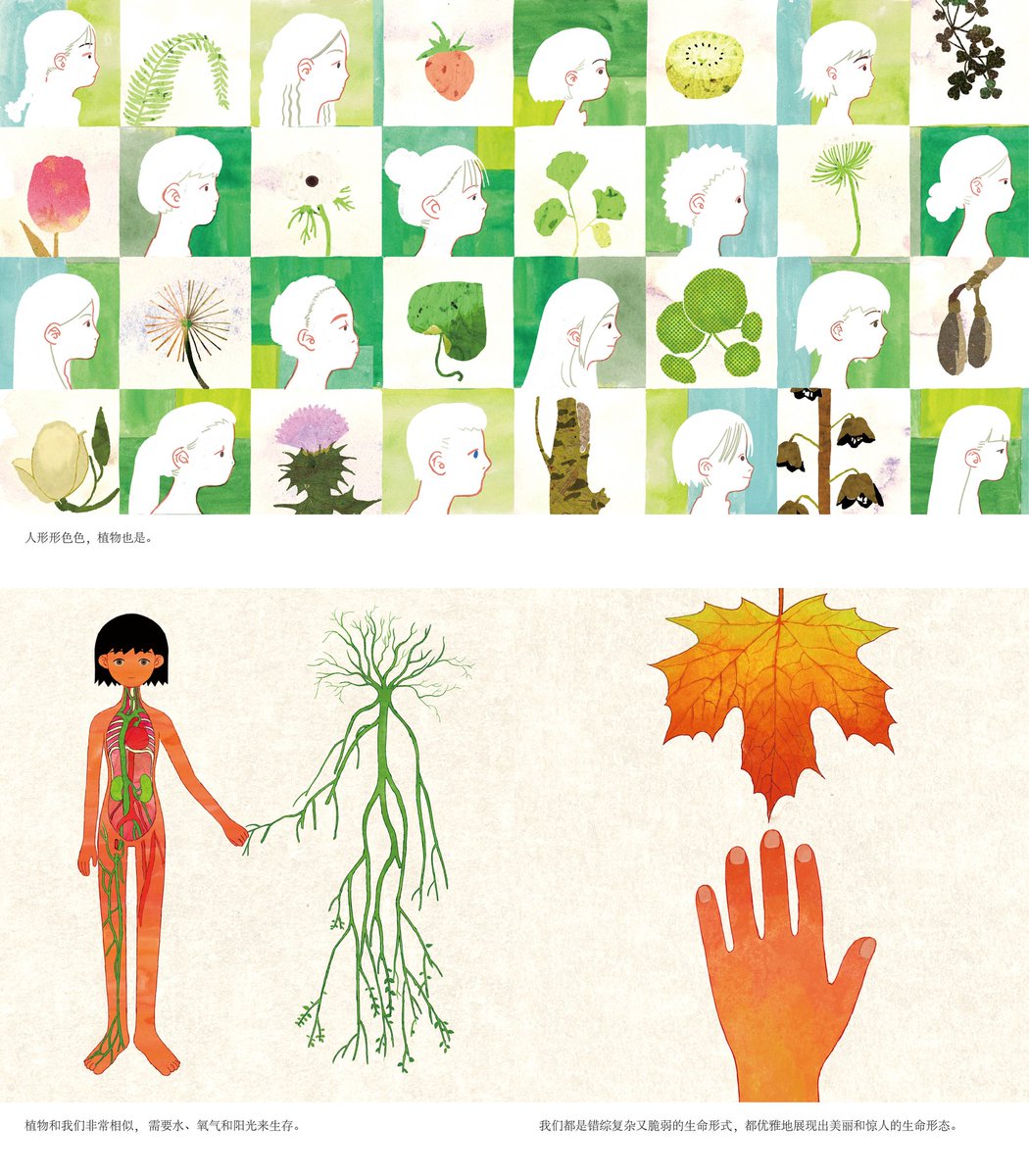 我们都是错综复杂的生命形式，都优雅地展现出美丽和惊人的生命形态。

We are all intricate life forms, all elegantly displaying beautiful and amazing life forms.