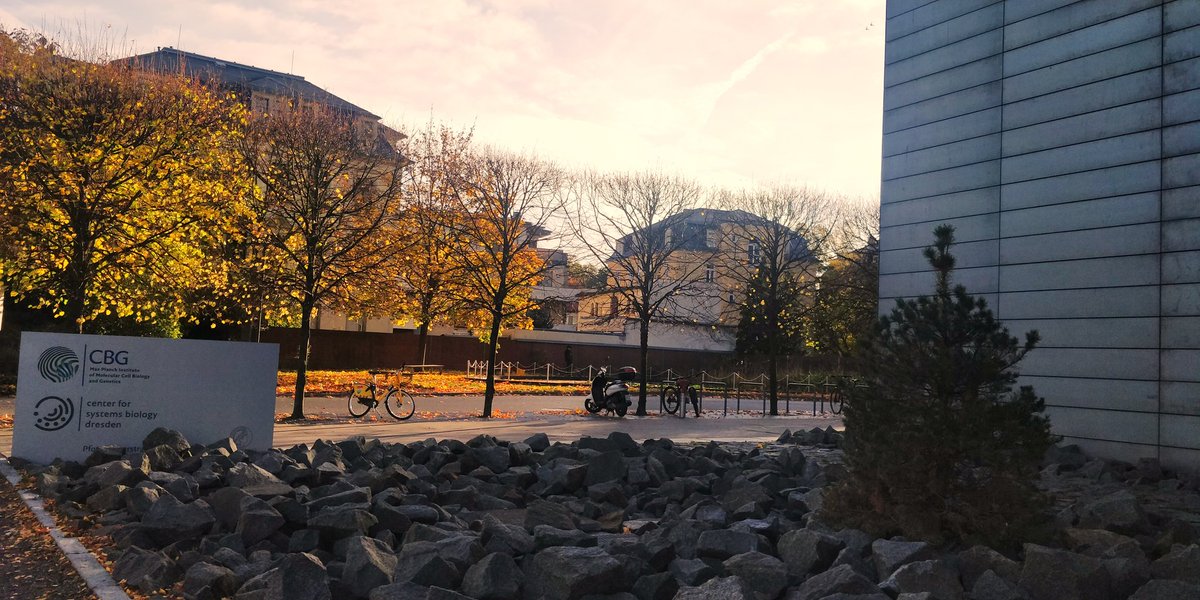 The magic of morning sunlight on autumn colors.... winter is coming <a href="/mpicbg/">MPI-CBG Dresden</a>