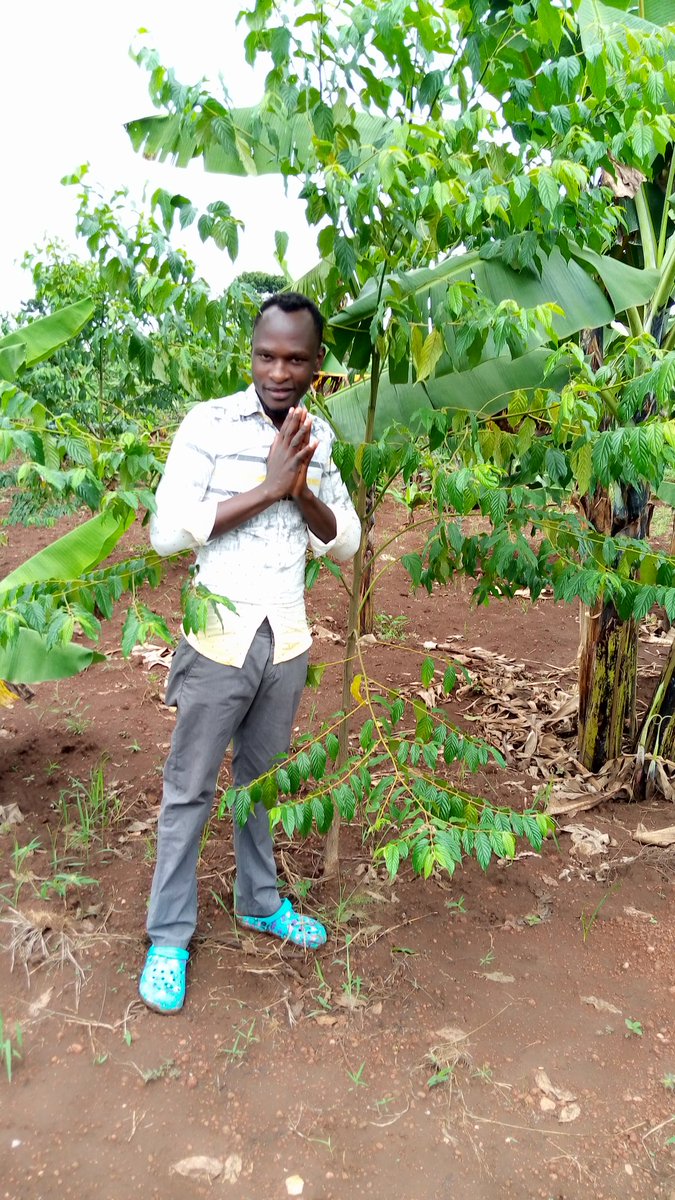 HansTenywa's tweet photo. #MyForest update
2020 up 2022 the trees everyone was asking about it
The trees need care and this has always forced me to keep doing it to make it happen
My dream is to set up a forest for biodiversity conservation
@dtb_uganda @senu_org @earthvolunteers https://t.co/eeGmuA749y