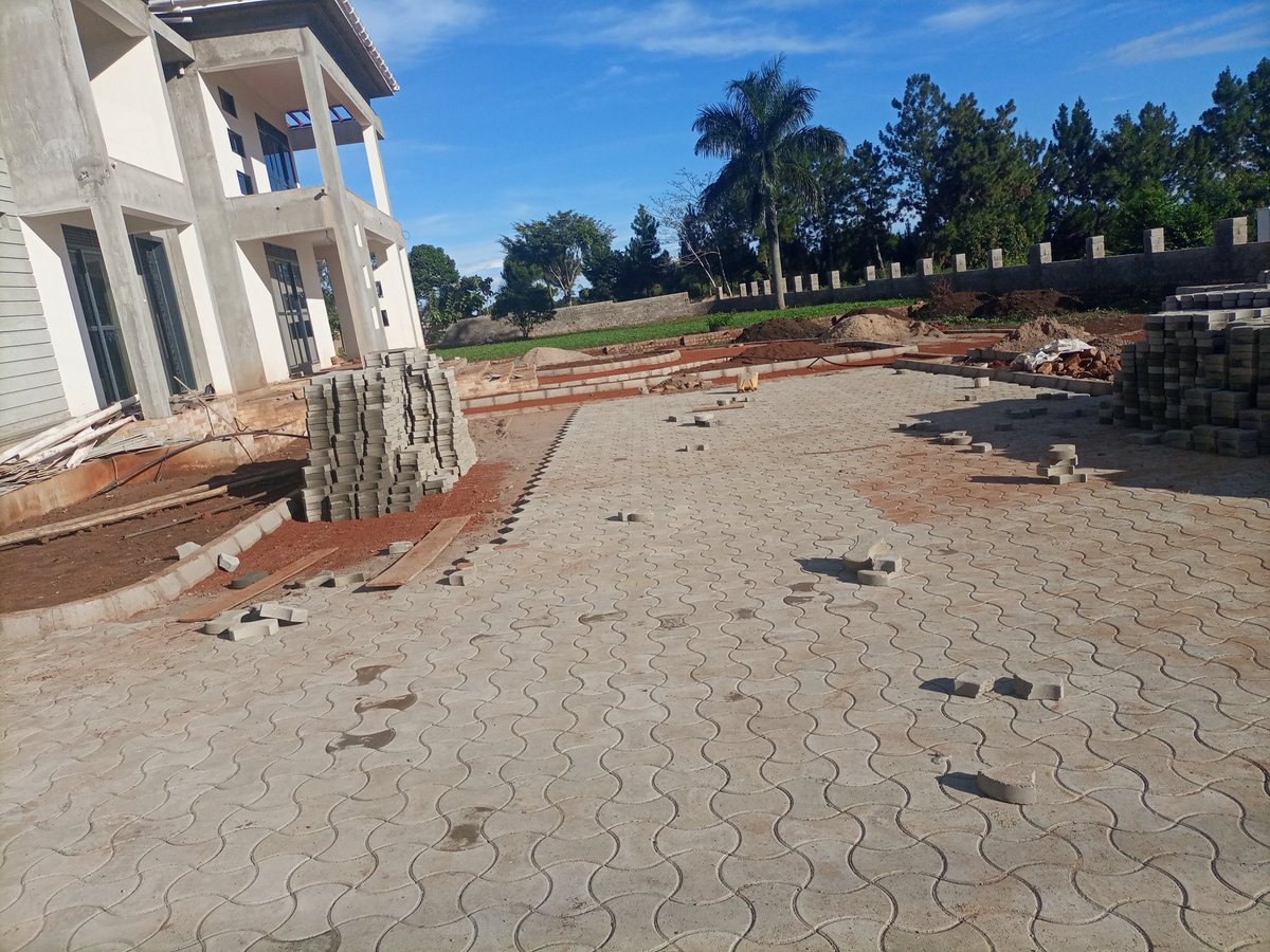 EcomiceM's tweet photo. Do not be overwhelmed by how big your project is and how you will get the money to invest in your landscape. Divide the work in manageable phases and START. The transition from one phase to another gives you great satisfaction and confidence.

Uganda-0778623536 https://t.co/mybgjXn28Z