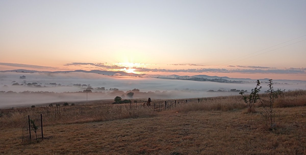 This morning's beautiful sunrise