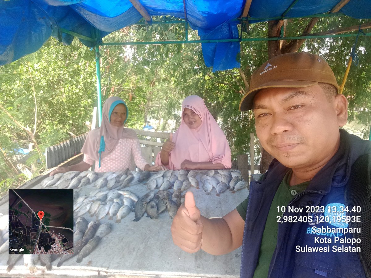 IkraRYasmin's tweet photo. Jum'at 10/11, Ikra, Luhkan Kota Palopo, di Kel. Sabbamparu Kec. Wara Utara, melaporkan produksi tangkapan ikan milik kub pallibu sabbamparu sebanyak 60 kg, dengan harga Jual 50.000 #PahlawanDiSekitarKita  #luhlapor https://t.co/1xmybXpfaQ