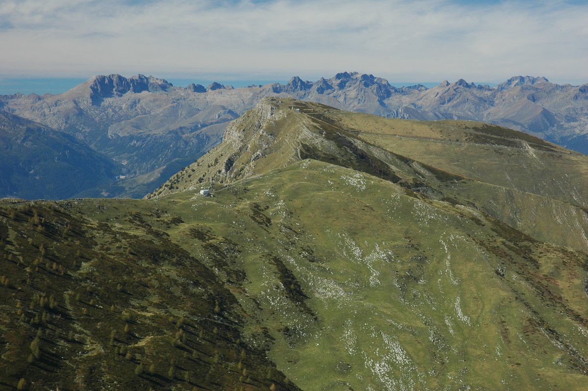 PITER ALPIMED tweet media