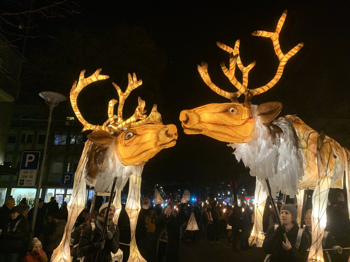 ThingumaTheatre's tweet photo. Two #reindeer lantern giants walked the streets of #Steinkjer Norway to help launch #Hilmarfestivalen! This was the culmination of a 10-day masterclass working with artists from Norway, Sweden and Denmark.
#giantpuppets #lanternpuppets #puppetworkshop https://t.co/evDsm2Dvf8