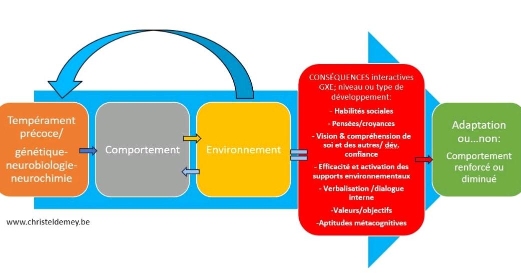 ChristelDemey's tweet photo. Le tempérament détermine le comportement "problématique" précoce qui va lui-même influer sur l'environnement.
L'environnement aura en retour la tâche de diminuer les effets du tempérament en favorisant le développement de divers facteurs.
#tdah #top #tempérament #habiletésociale https://t.co/fmV2bTMY4d