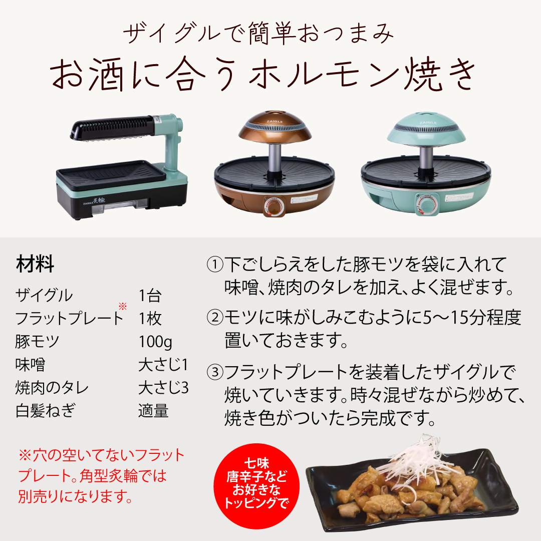 ZAIGLE 赤外線ロースターレッド 取扱説明書、レシピ付き ZAIGLE 赤外線ロースターレッド 取扱説明書、レシピ付き