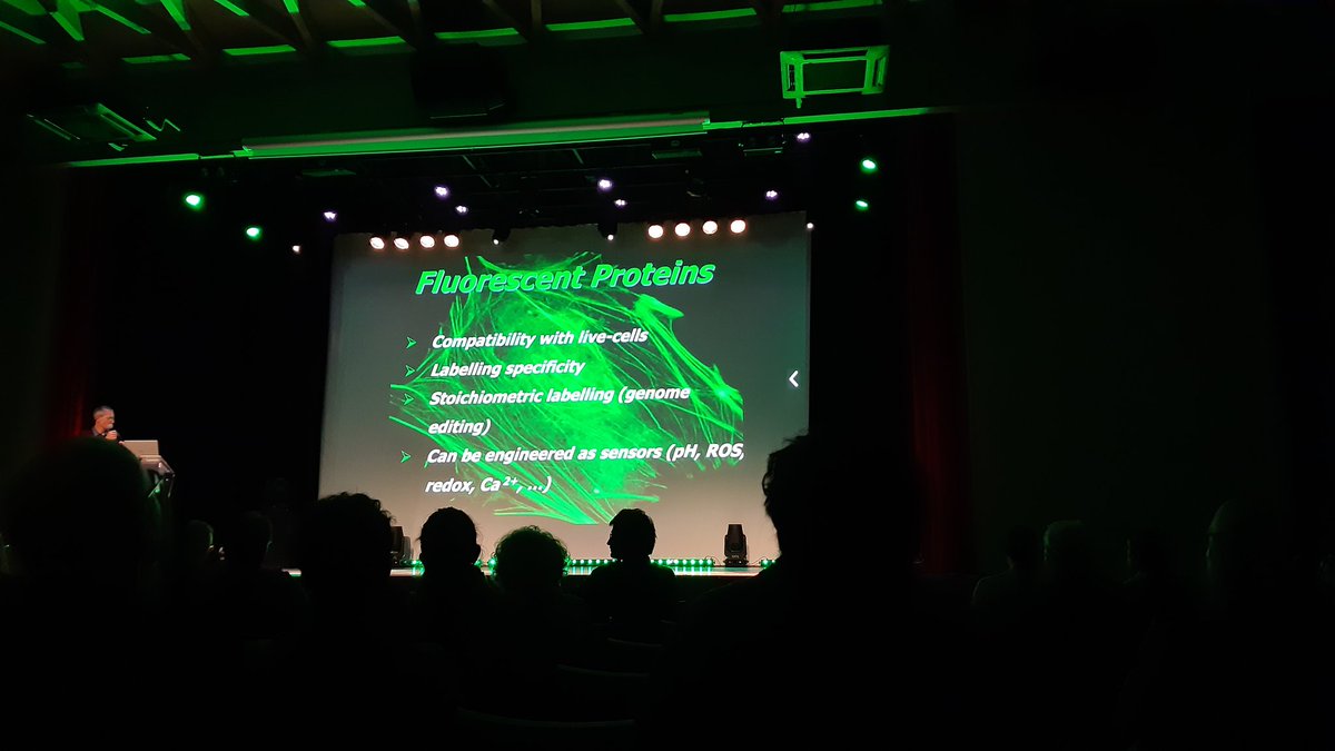 cnidevolab's tweet image. #MiFoBio2023, starting with the basics