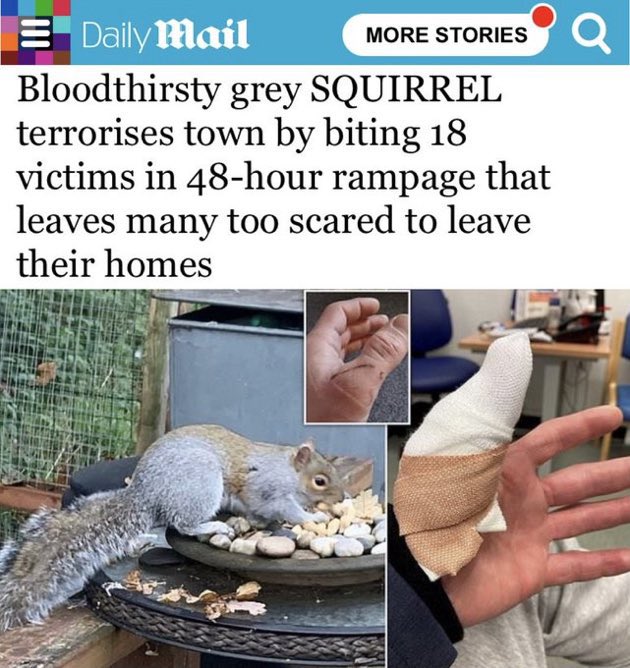 “Why didn’t you come to work today?” - Because squirrel.