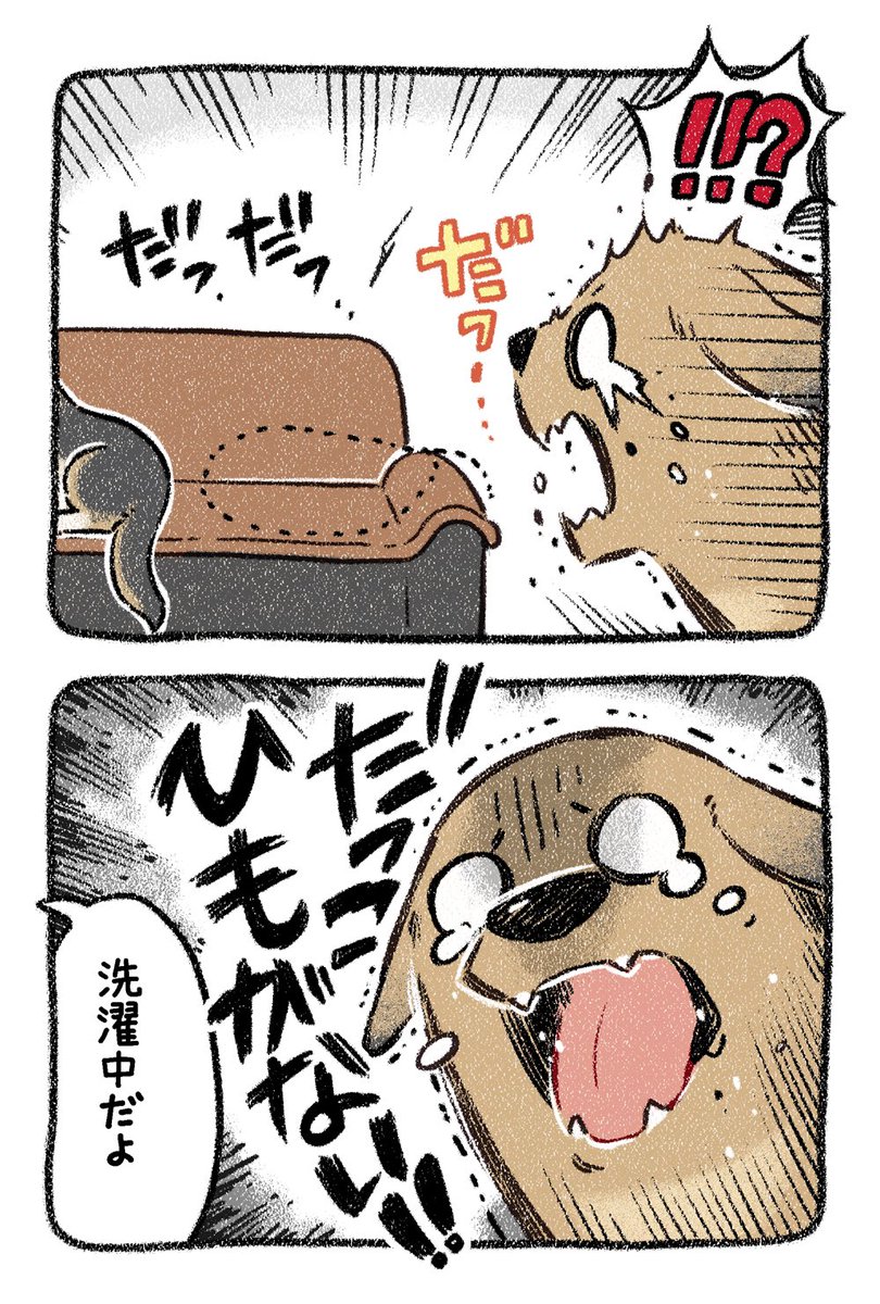 保護犬茶々のお話【第15話】 ぬちゃあ… #漫画が読めるハッシュタグ