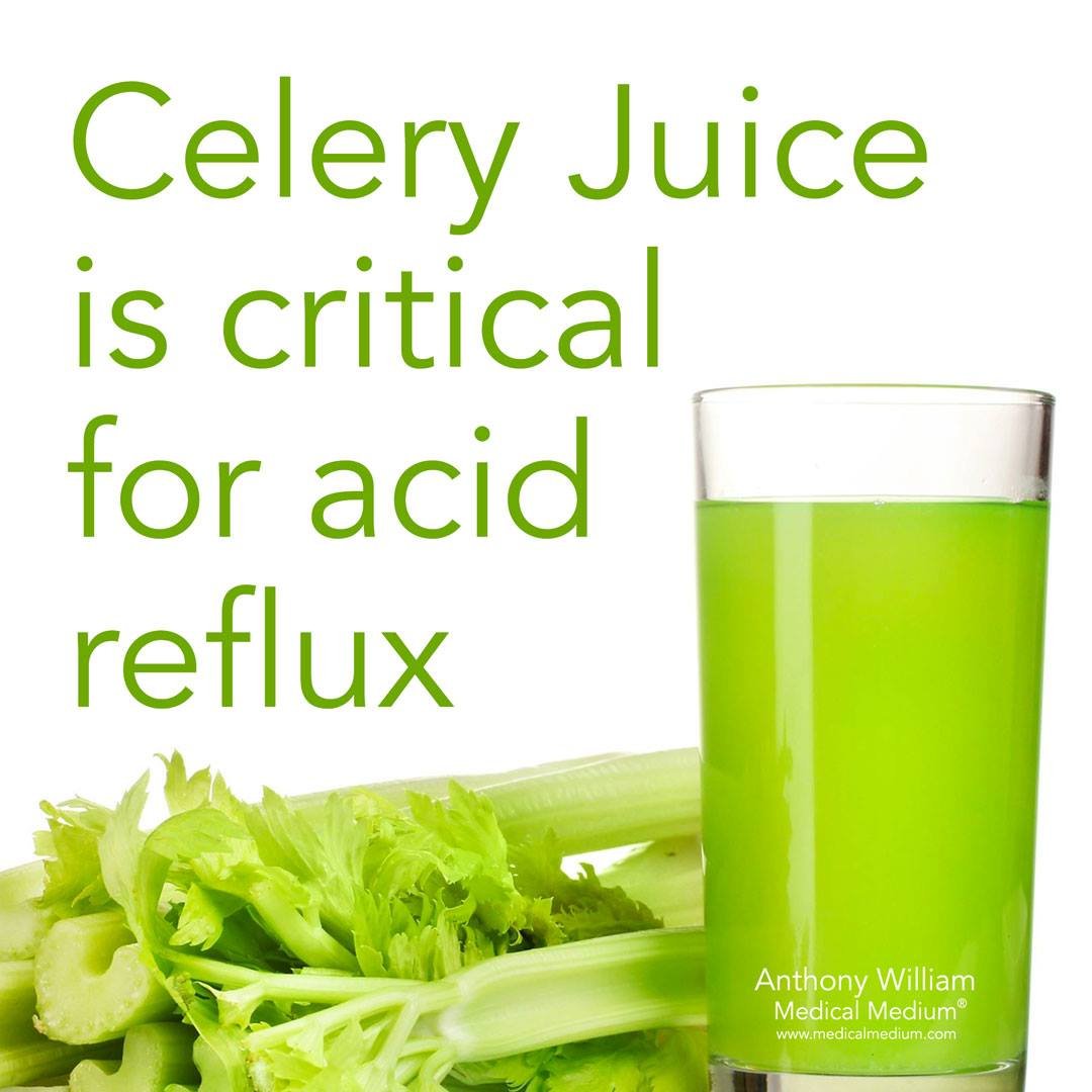 144Health's tweet image. #Celery Juice is critical for acid reflux