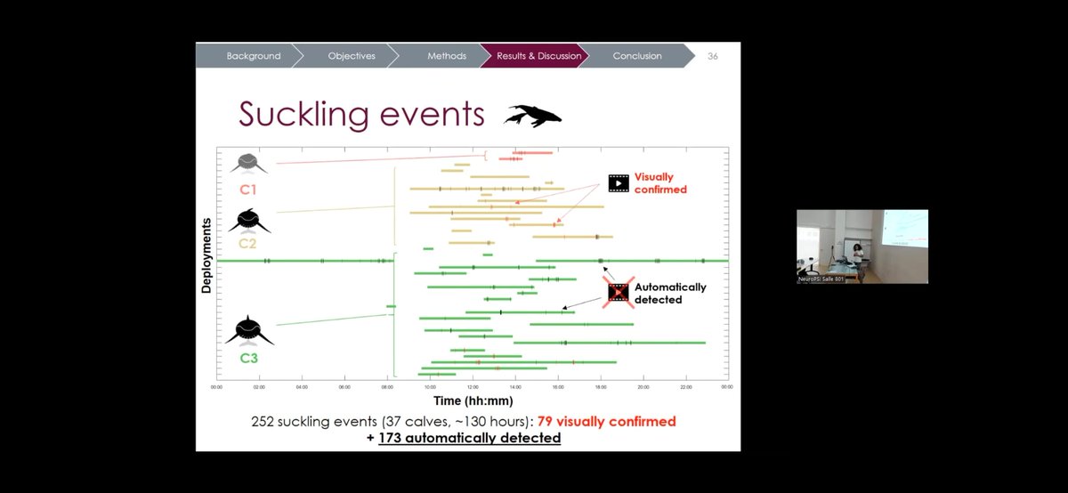 PhDone 🐋😎
Congratulations <a href="/RMaevatiana/">Dr. Maevatiana Ratsimbazafindranahaka</a> for this great achievement on mother-calf interactions in humpback whales thesis💪🐋🐳
We are so proud of you🤗
#Kindofwhalespecialist #PhD