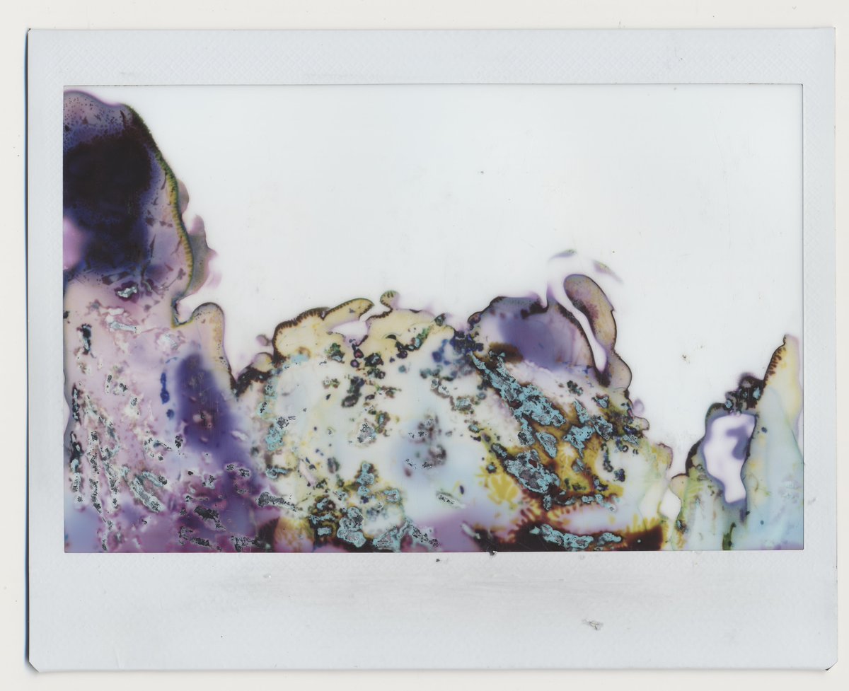 baccapaglierina's tweet photo. Original or Pixelsorted version?
#experimentalinstax https://t.co/z8bKe4BzkK