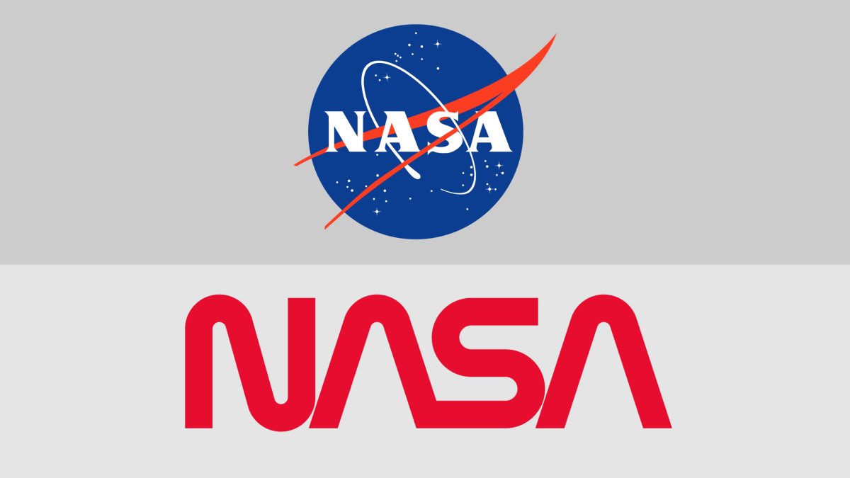 Huddle Creative tweet media