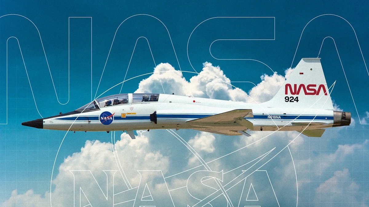 Huddle Creative tweet media