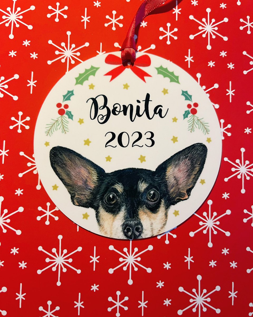 Bonita the Rat Terrier artbyjulene.etsy.com/listing/832545… #ratterrier #rattys #terrier #dogsofx #dogsontwitter