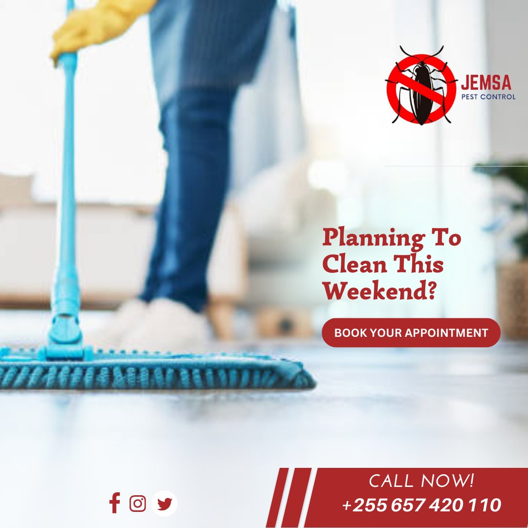 JemsaPest's tweet photo. Ready to reclaim your weekend?  Let us handle the cleaning while you relax! 

#weekendcleanse #stressfreeweekend #cleaningservices #saturday #homecleaning #homecleaningservices #daressalaam #tanzania #jemsapestcontrol https://t.co/d5Bk6EJLdQ