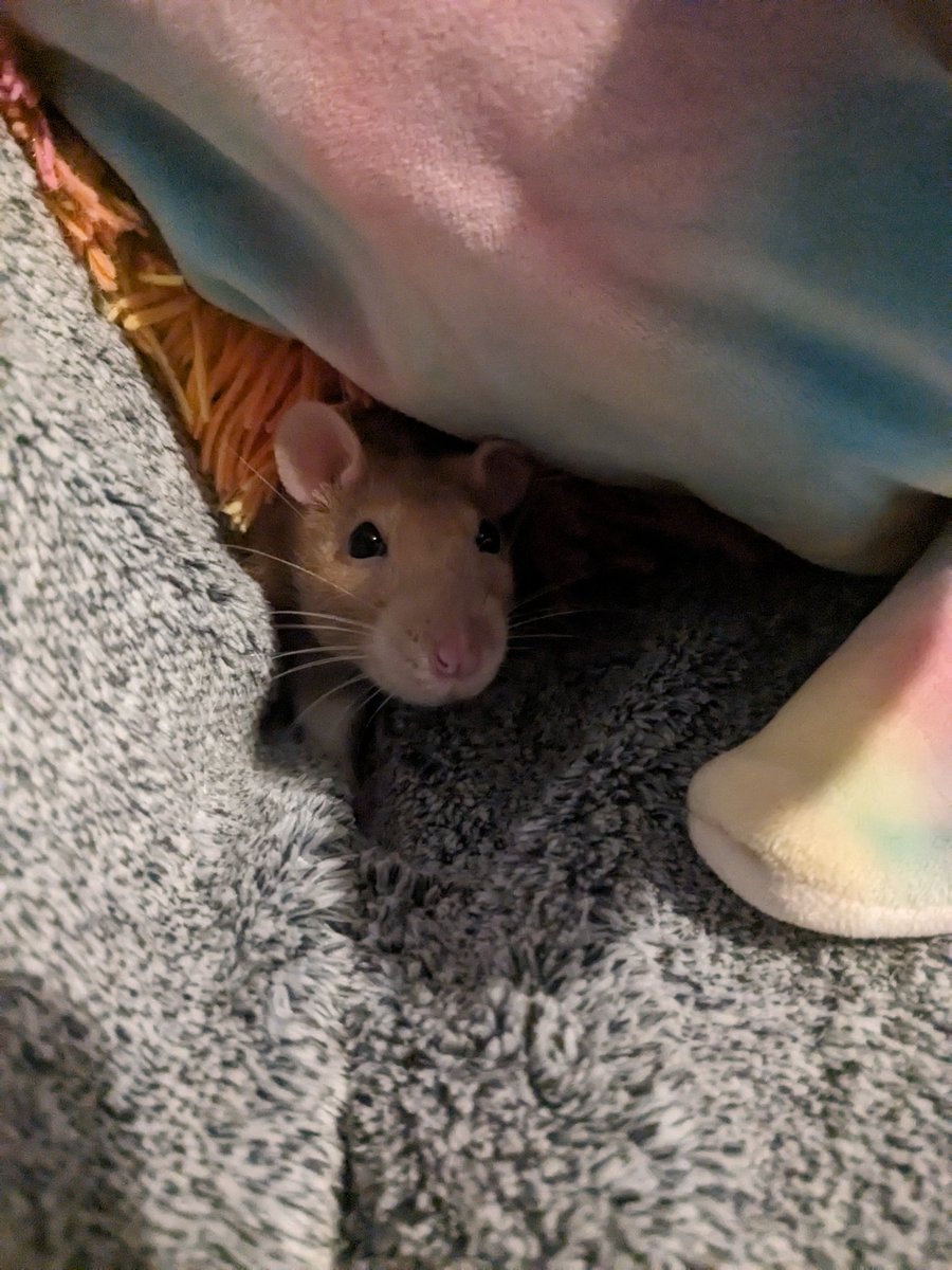 I'm around but struggling to be on twitter. I have the very nice problem that I have lots of things outside of online to pursue.